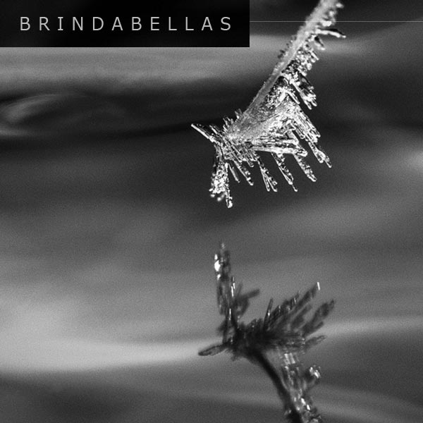Brindabellas